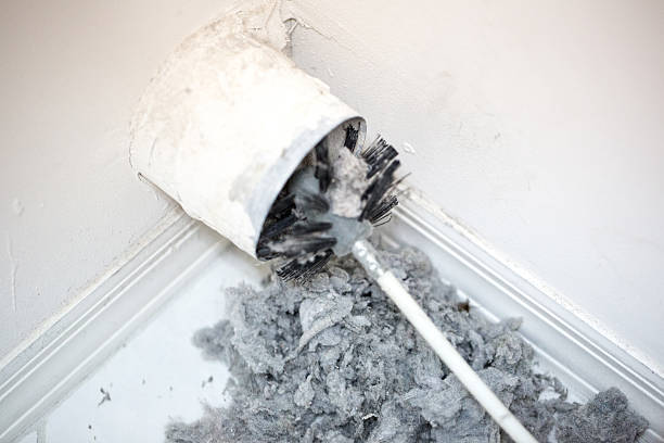 Best Home Air Vent Cleaning  in Northlakes, NC